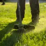 Best Mowing Height for Different Grass Types in Tennessee