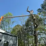Why Large Tree Removal Requires a Professional Crew in Tennessee