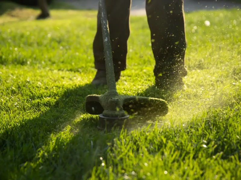 Lawn Mowing 1