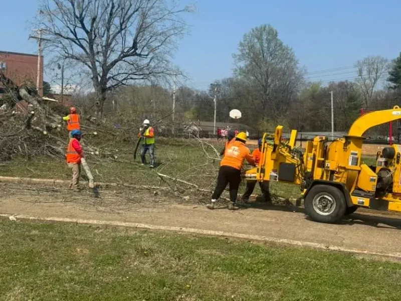 Tree Services (2)
