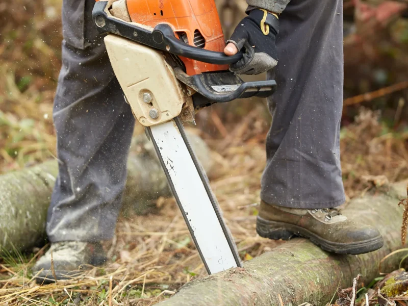 Tree Services 2