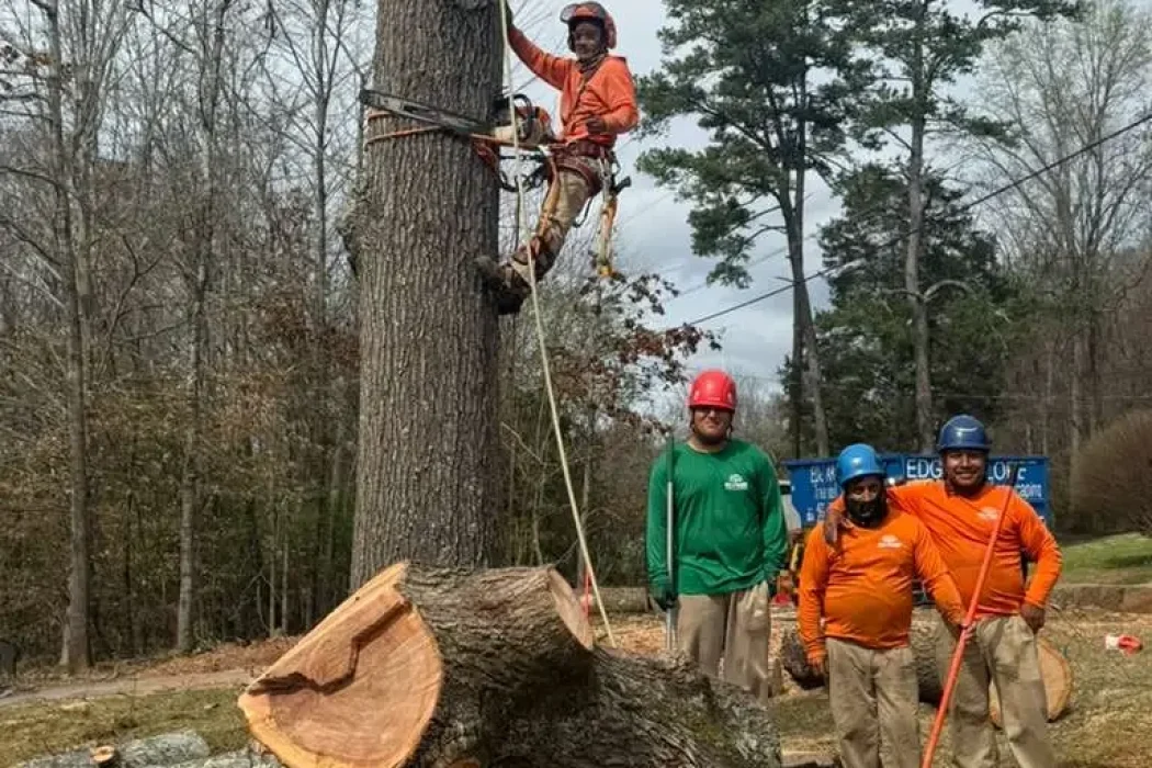 Tree Services (3)